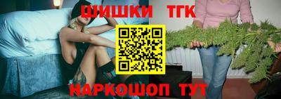 прущие крисы Кингисепп