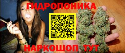 скорость Кинель