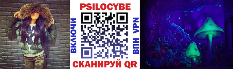 как найти   Липецк  Псилоцибиновые грибы Cubensis 