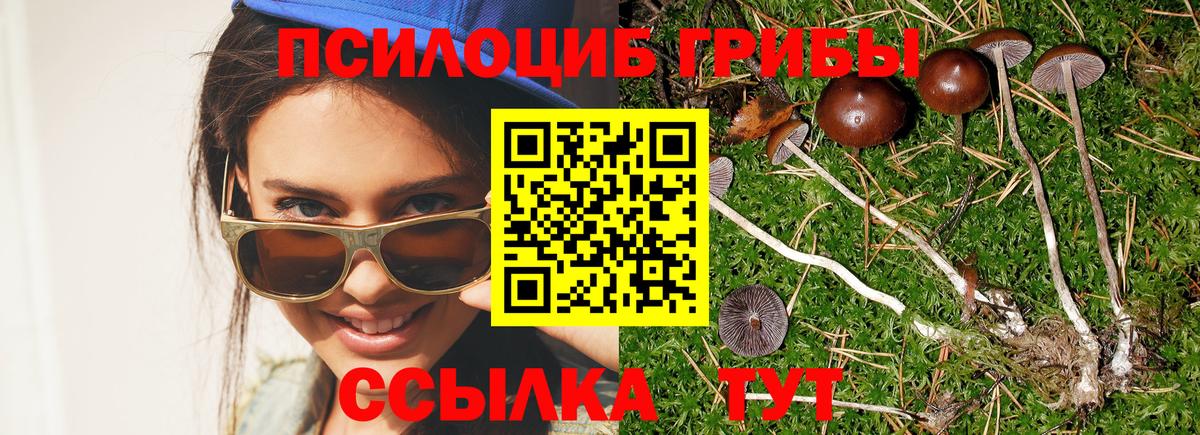 Псилоцибиновые грибы ЛСД Россия