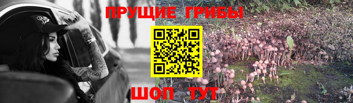Псилоцибиновые грибы мухоморы Россия