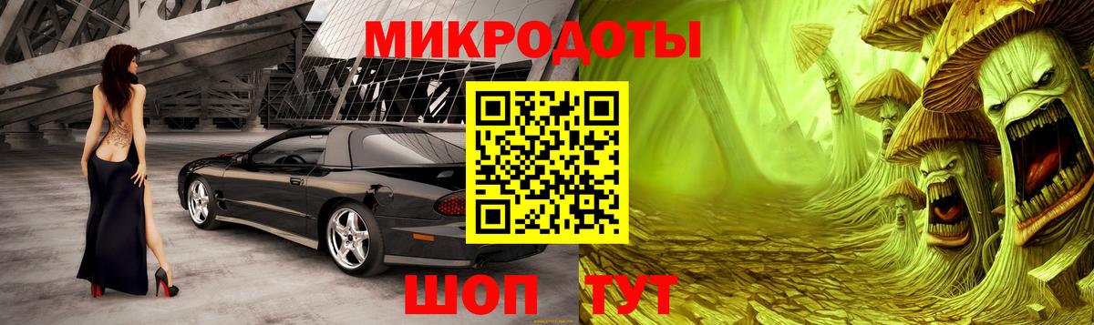 Псилоцибиновые грибы GOLDEN TEACHER  Галлюциногенные грибы мухоморы  Россия  Вход с VPN 