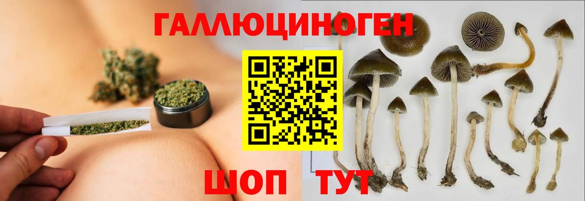 Россия  Галлюциногенные грибы прущие грибы  Вход с VPN 